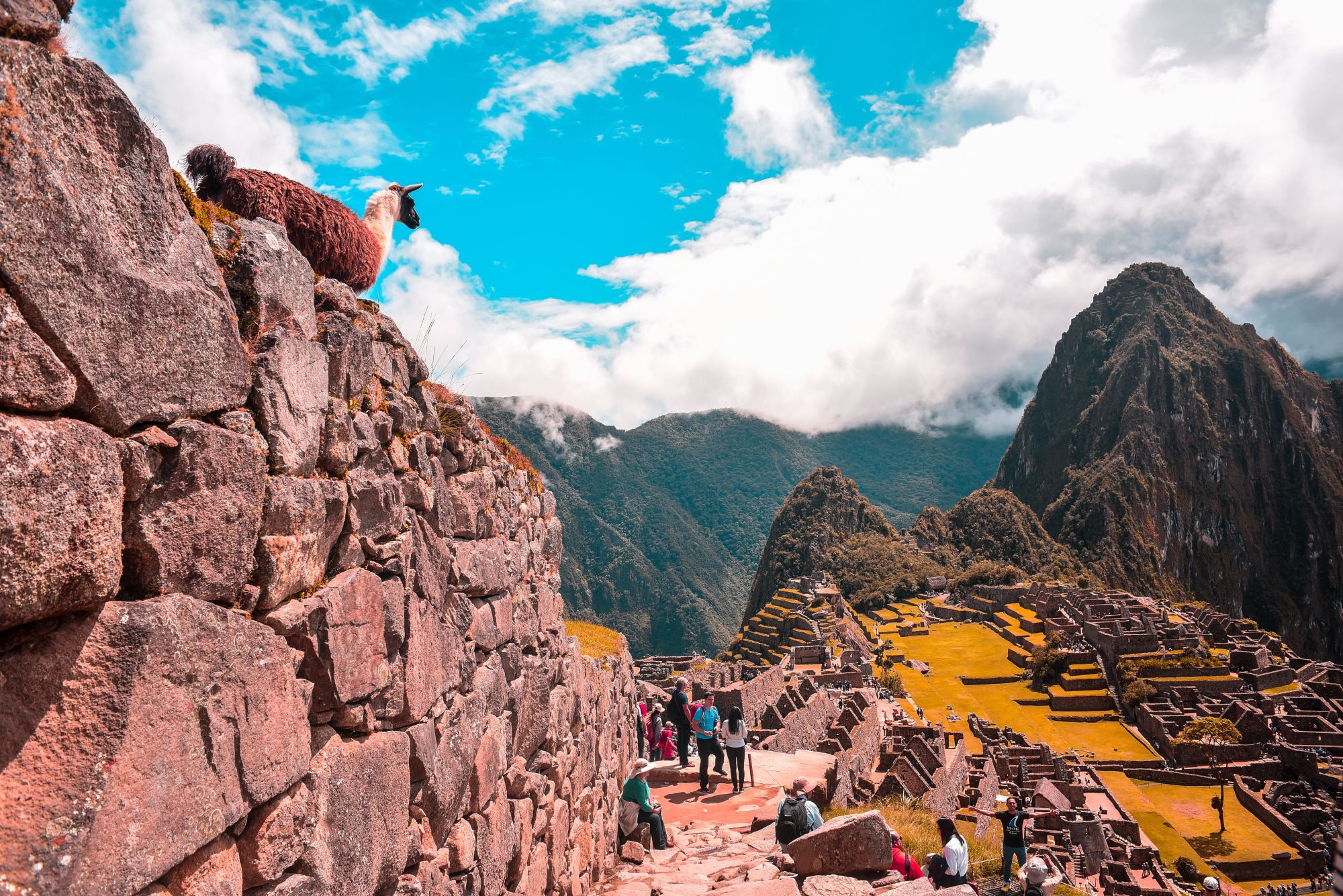 Machupicchu16
