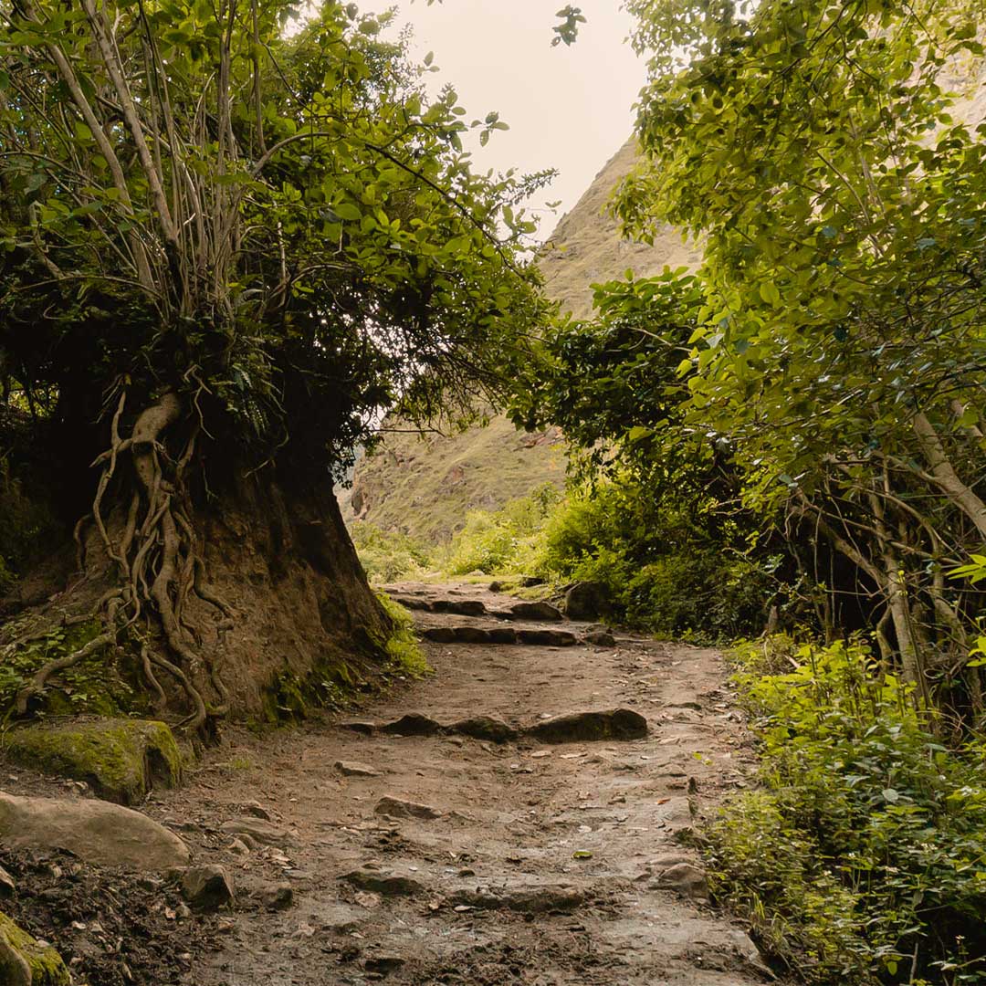 Luxury inca trail tours dificulty