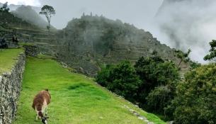 Inca Terrace Machu Pichu Luxury Hiking Tours